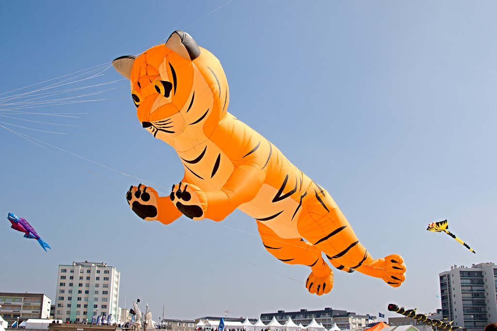 Cerfs-Volants vliegerfestival festival festiviteit evenement event berck sur mer vlieger speelgoed strand